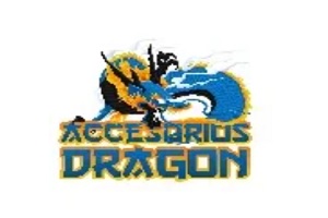 Es una de las mejores tiendas de tecnología de CDMX es Accesorios Dragon