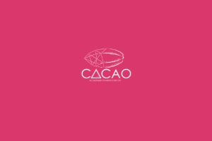 Una de las mejores escuelas de repostería en CDMX es Cacao Academia