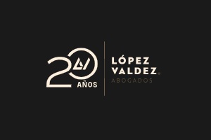 López Valdez Abogados