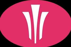 Yonishakti, logo