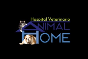 Una de las mejores clínicas veterinarias en CDMX es Hospital Veterinario Animal Home Coapa 24 horas, logo