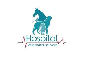 Una de las mejores clínicas veterinarias en CDMX es Hospital Veterinario Del Valle 24hr, logo