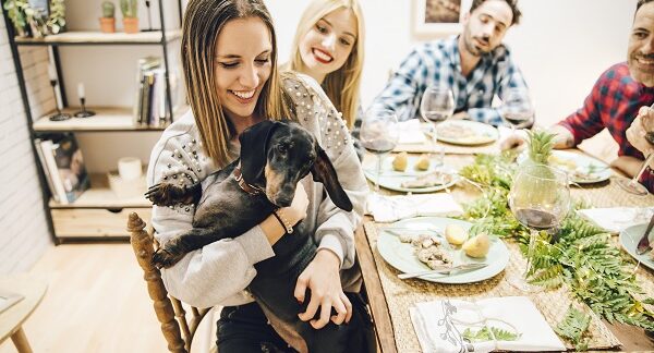 Los 10 mejores restaurantes Pet Friendly de CDMX