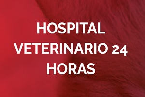 Una de las mejores clínicas veterinarias en CDMX es Médica Animal, logo