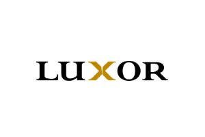 Una de las mejores empresas de reparación de persianas en CDMX es Persianas Luxor Mx, logo