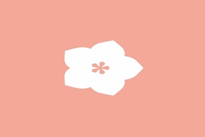 Bari Swimwear