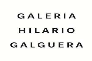 Galería Hilario Galguera