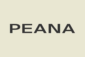 PEANA Galerías de arte de CDMX