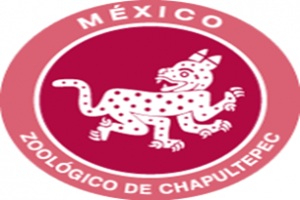 Zoológico Chapultepec actividades para niños de preescolar