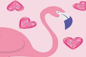 Flamingo Café