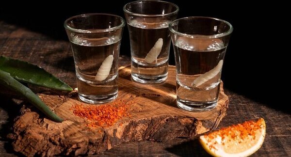 mezcales en CDMX