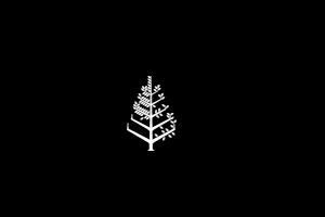 The Spa at Four Seasons, logo