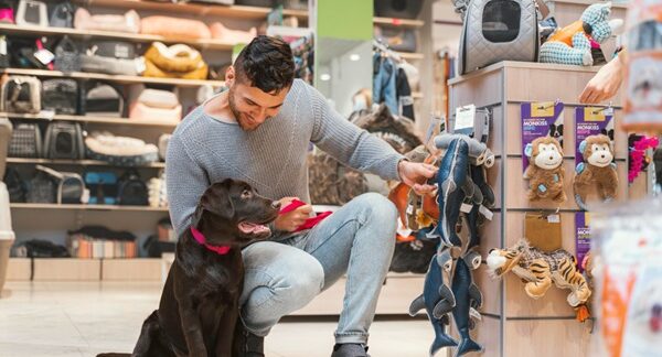 tiendas de juguetes para perros en CDMX