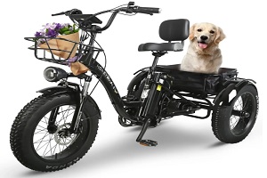 imagen de la Bicicleta Eléctrica Honey Whale S13 Negro