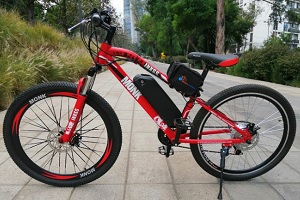 imagen de la Bicicleta Eléctrica INXSS 350W-1500W