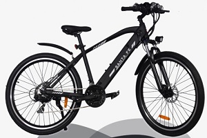 imagen de la Bicicleta Eléctrica Urbana Santa Fé