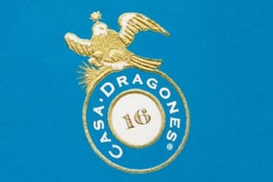 Casa Dragones Joven, logo