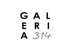 Galería 314, logo