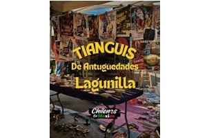 Antigüedades La Lagunilla Centro