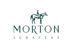 Galerías Louis C. Morton