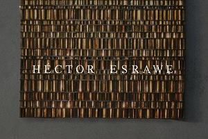 Héctor Esrawe (Esrawe Studio)